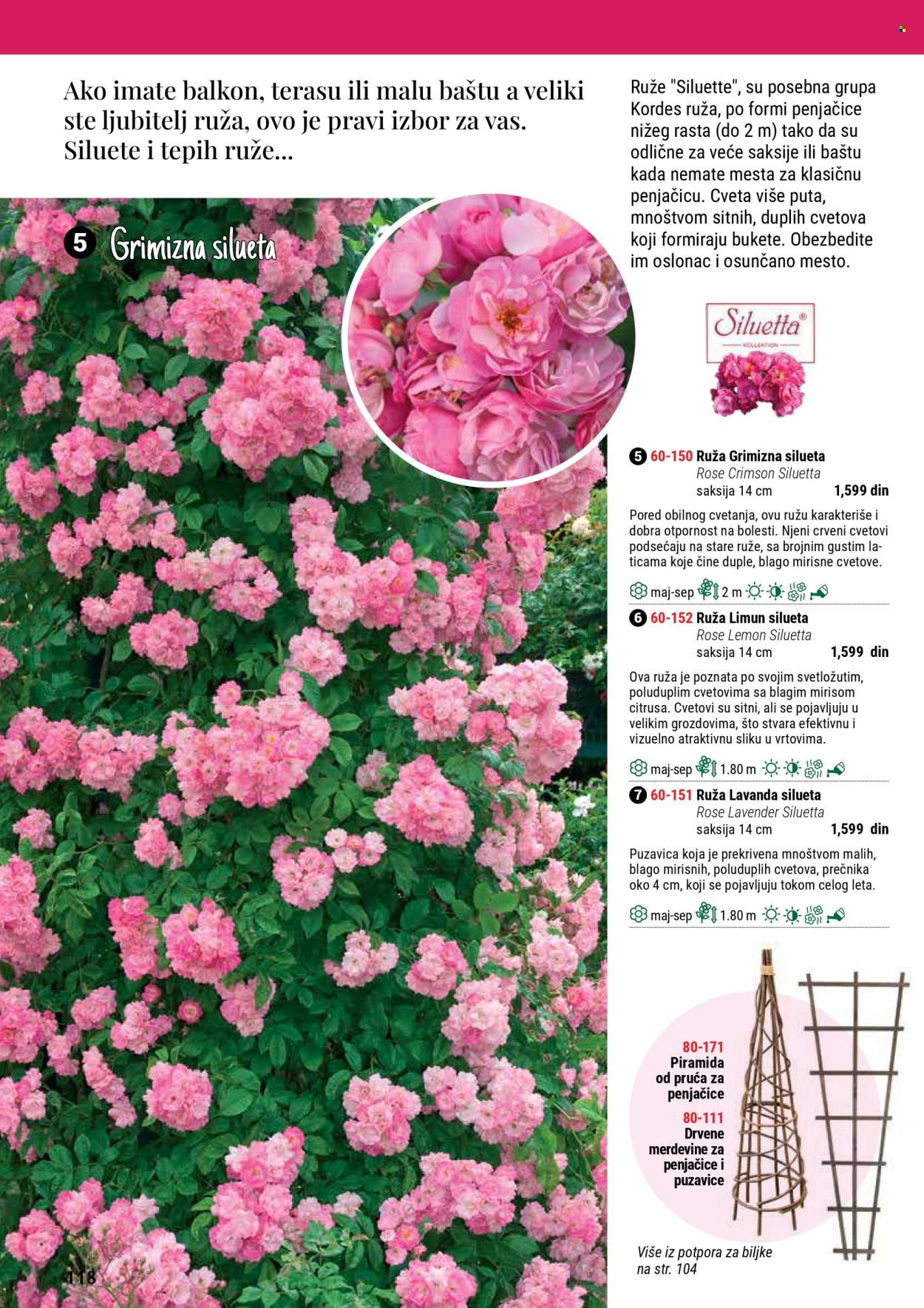 Flora Ekspres katalog .