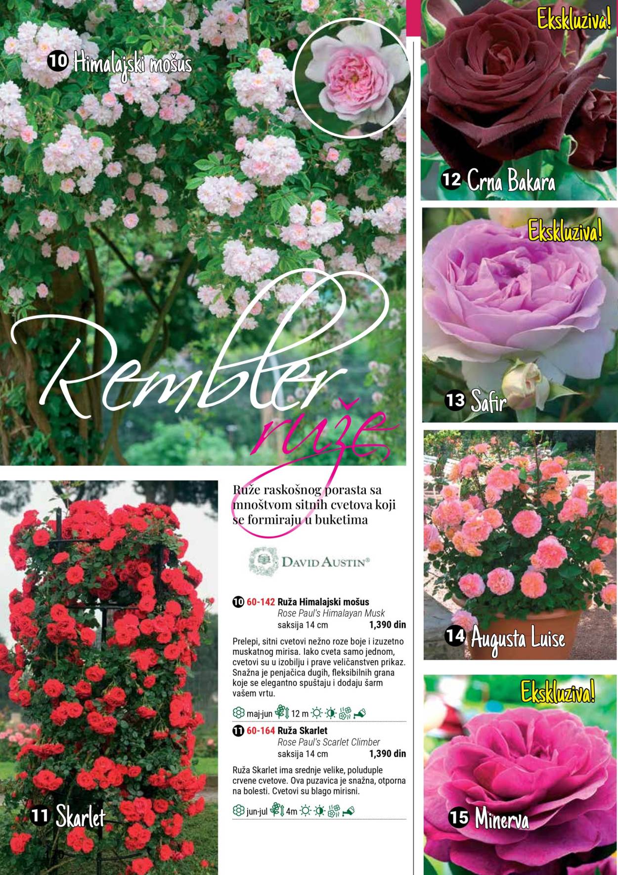 Flora Ekspres katalog .