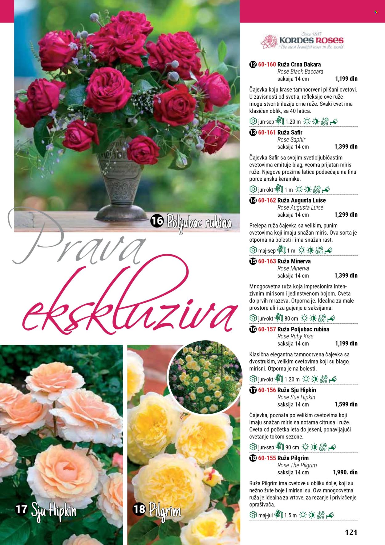 Flora Ekspres katalog .