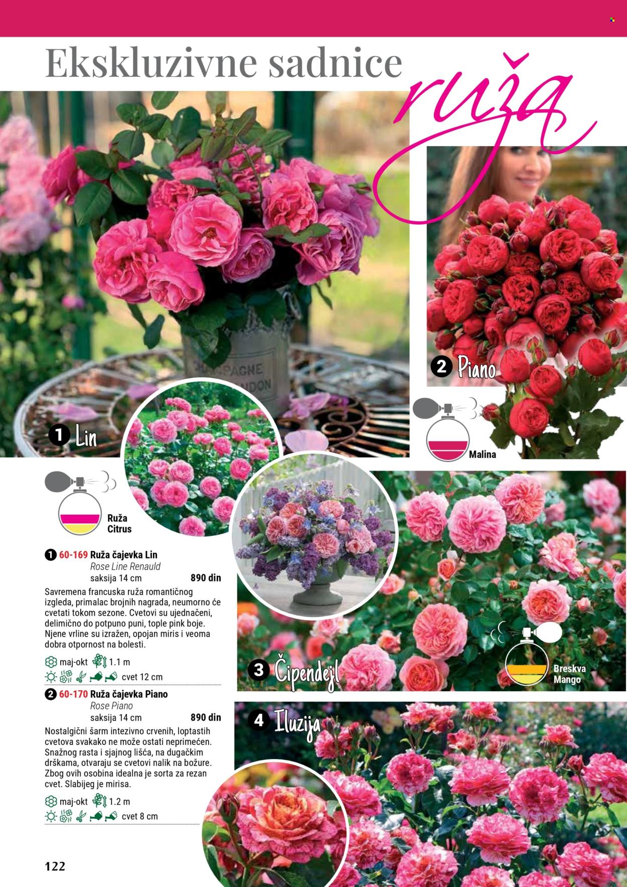 Flora Ekspres katalog .