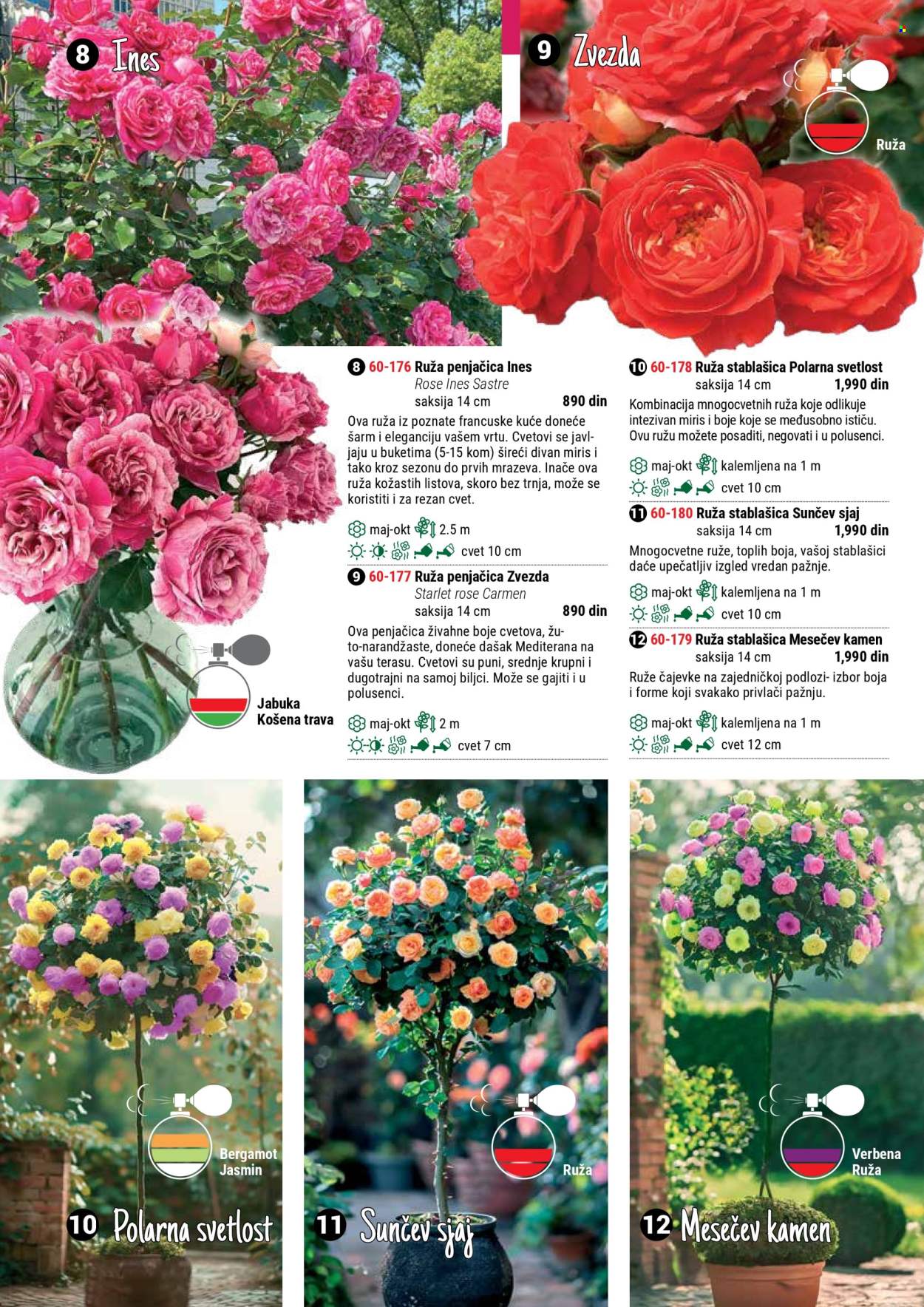 Flora Ekspres katalog .