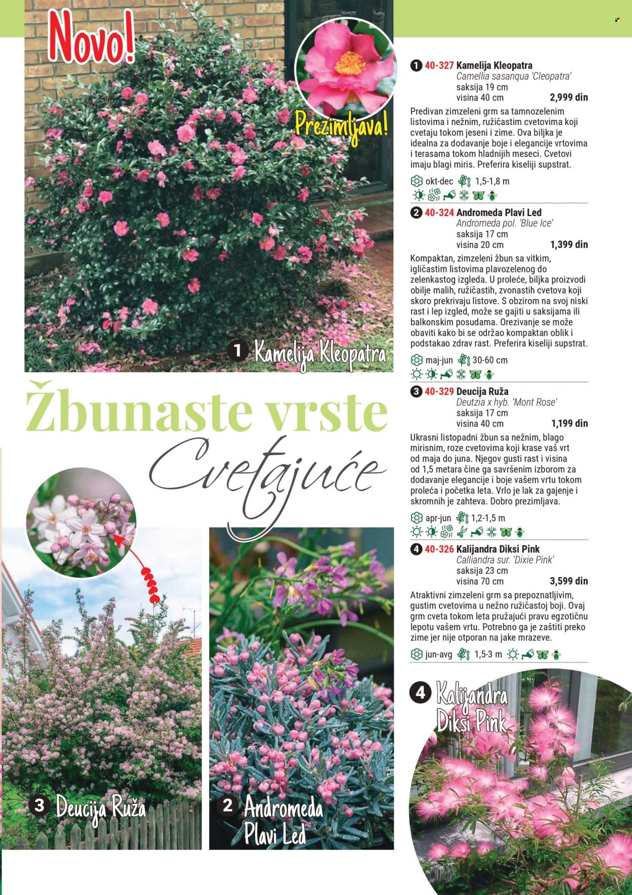 Flora Ekspres katalog .