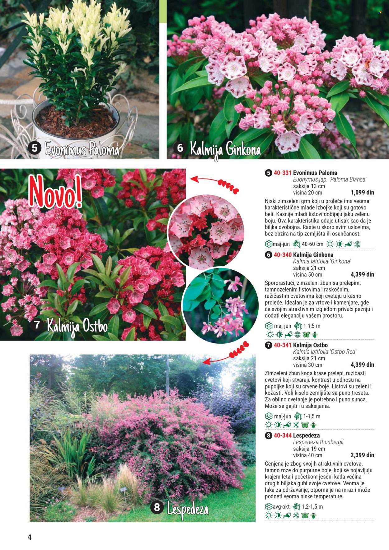 Flora Ekspres katalog .
