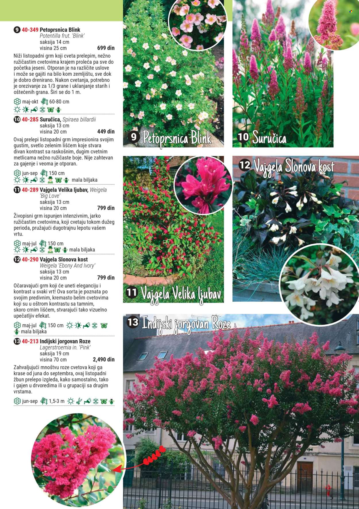 Flora Ekspres katalog .