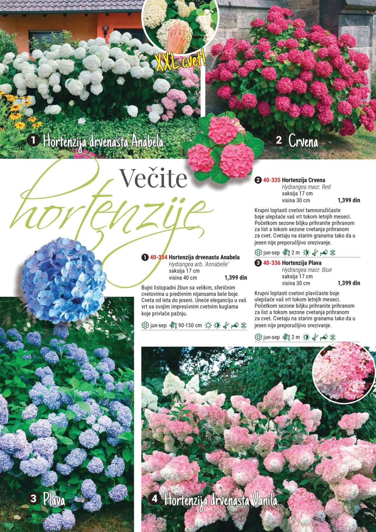 Flora Ekspres katalog .