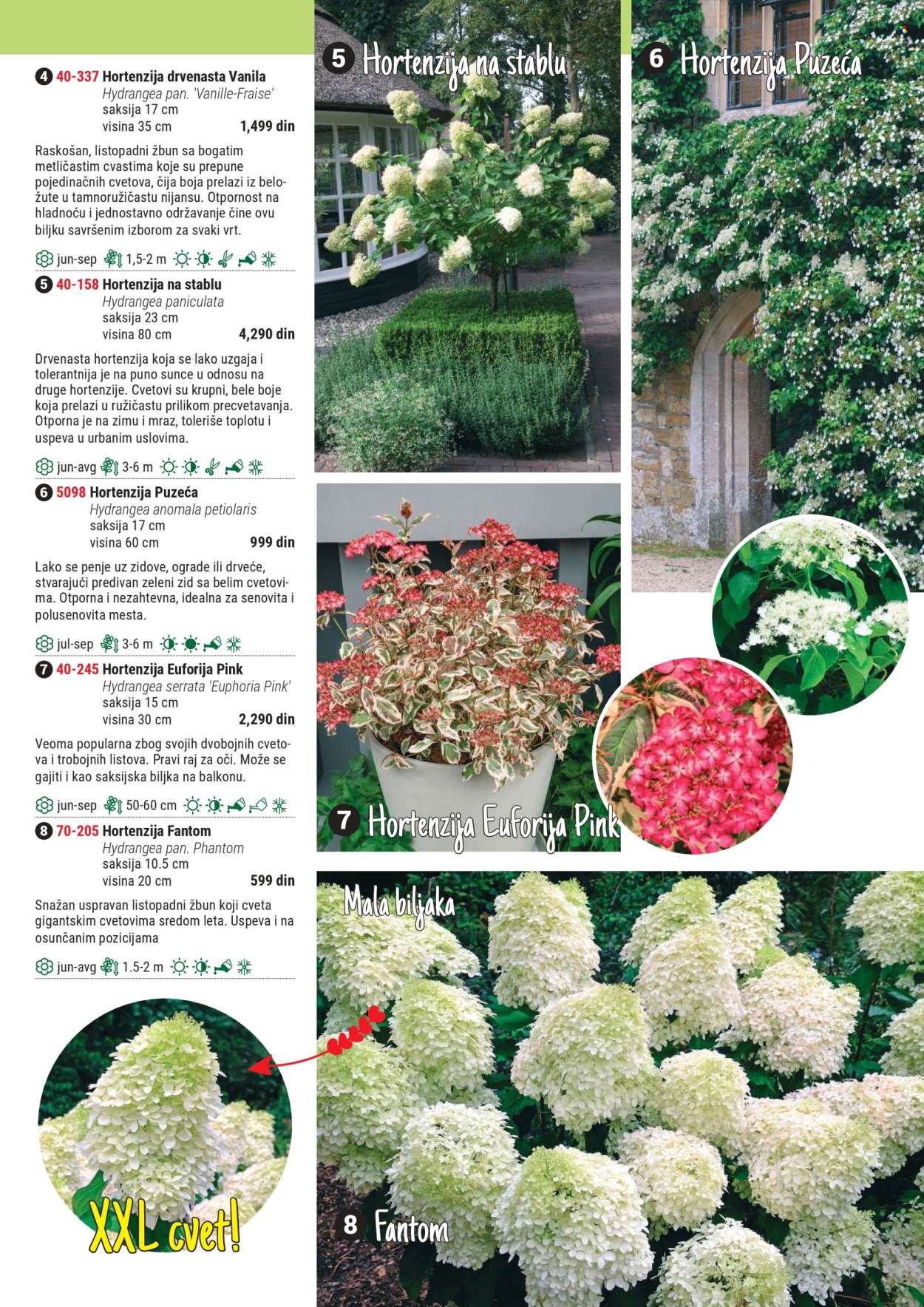 Flora Ekspres katalog .