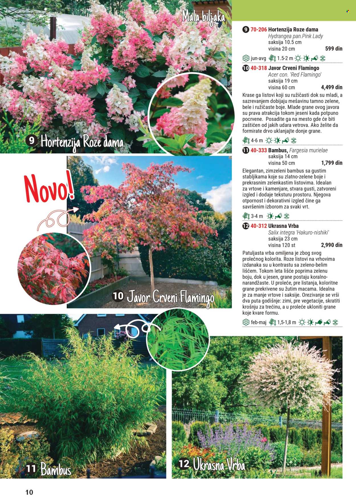Flora Ekspres katalog .