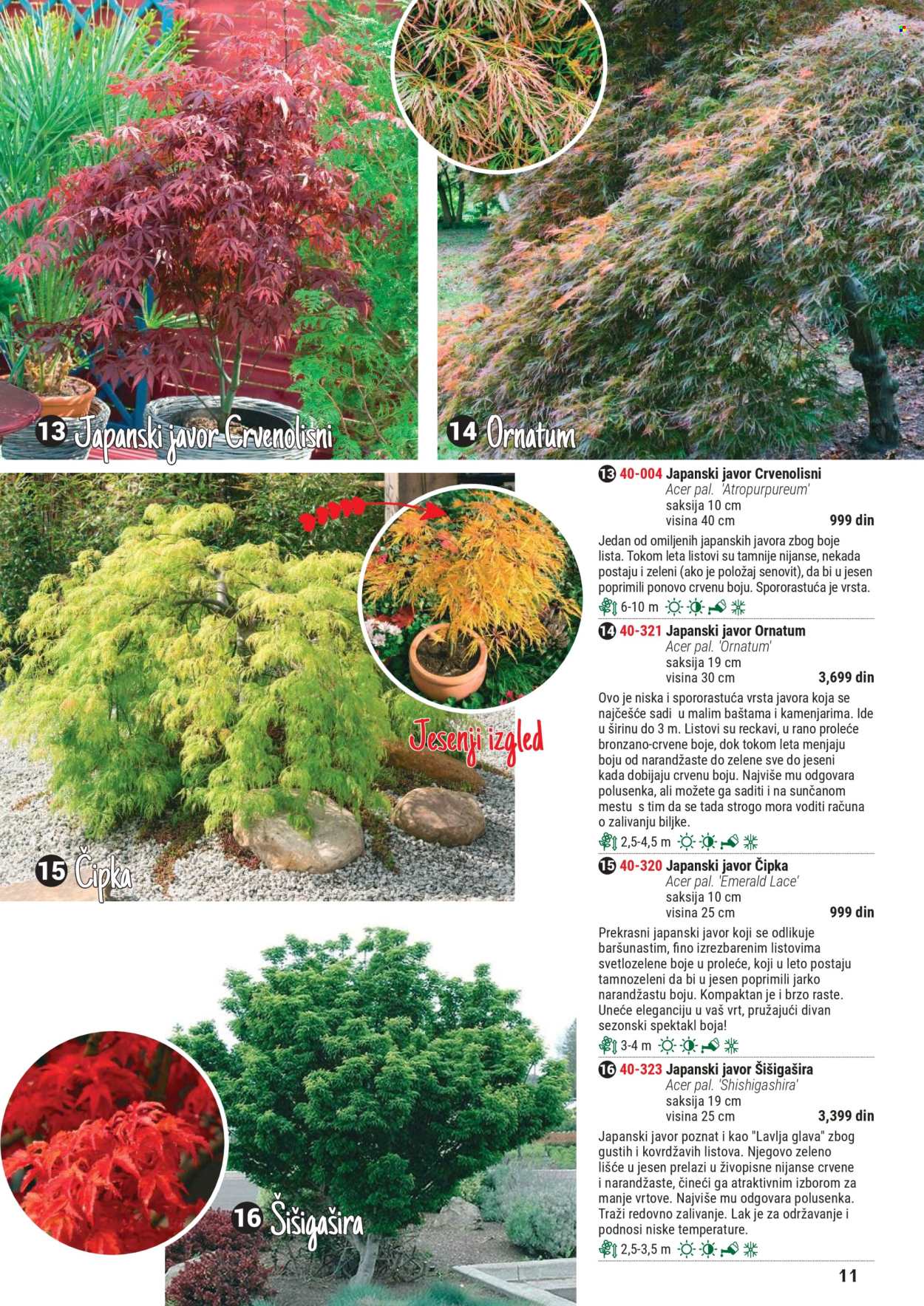 Flora Ekspres katalog .