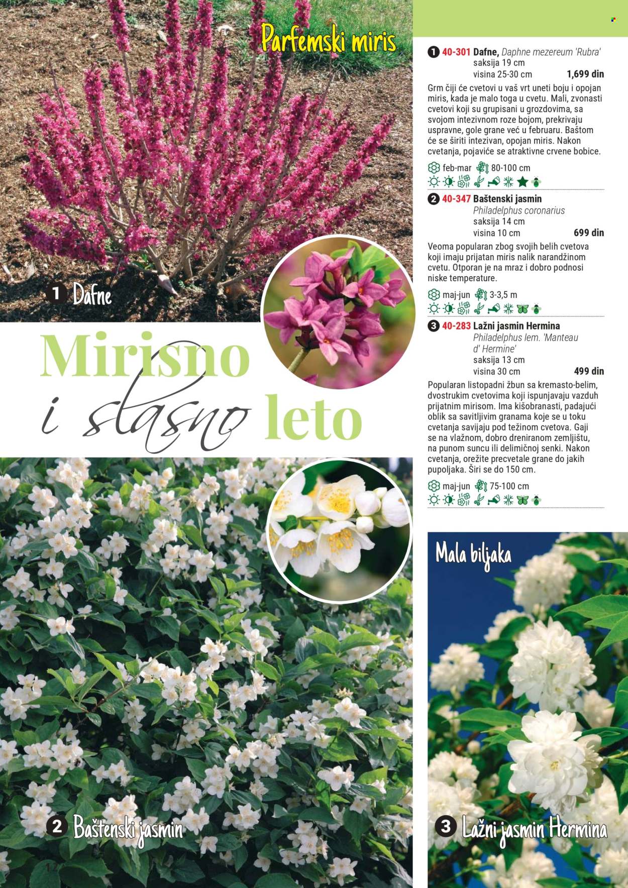 Flora Ekspres katalog .