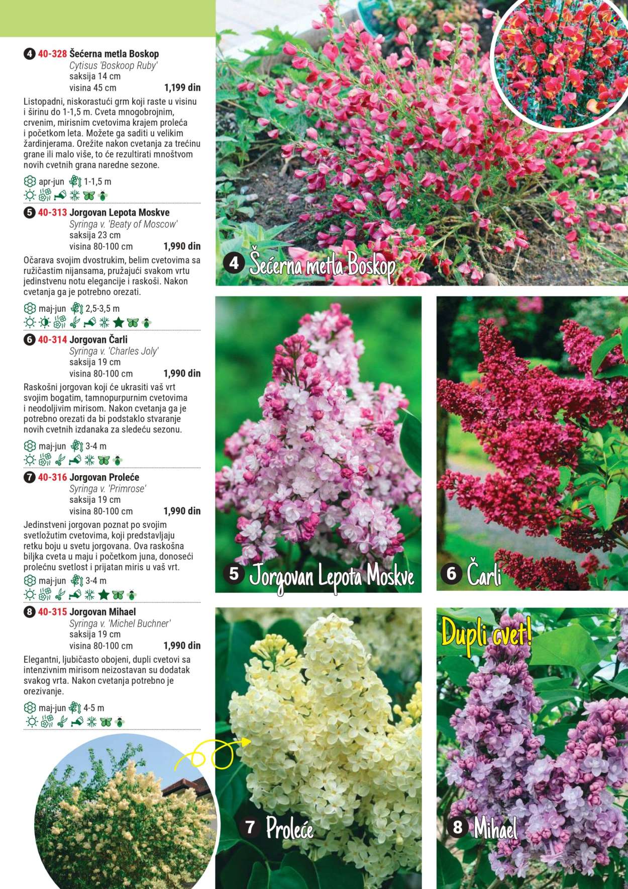 Flora Ekspres katalog .