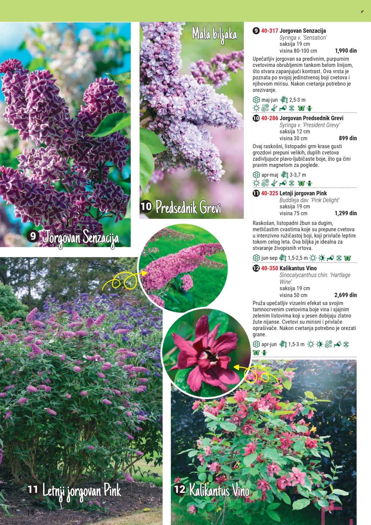 Flora Ekspres katalog .