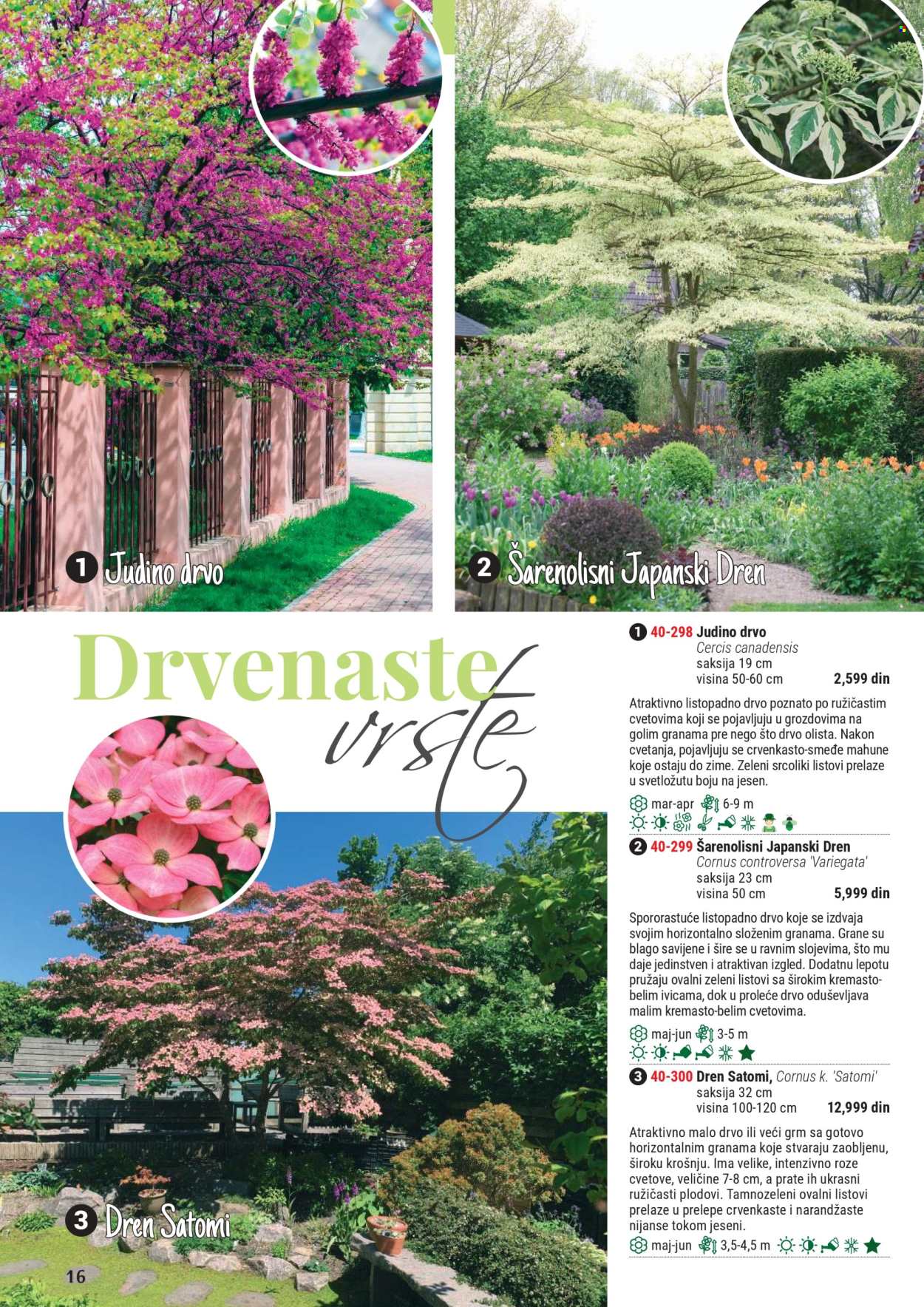 Flora Ekspres katalog .