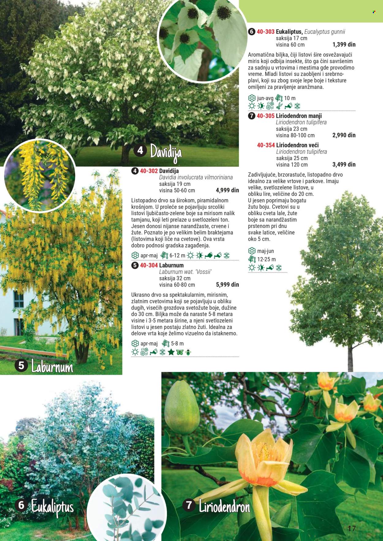 Flora Ekspres katalog .