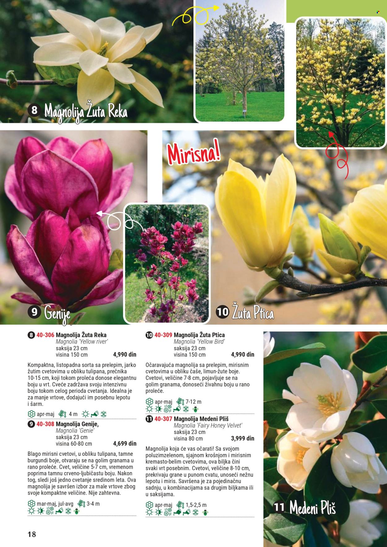 Flora Ekspres katalog .
