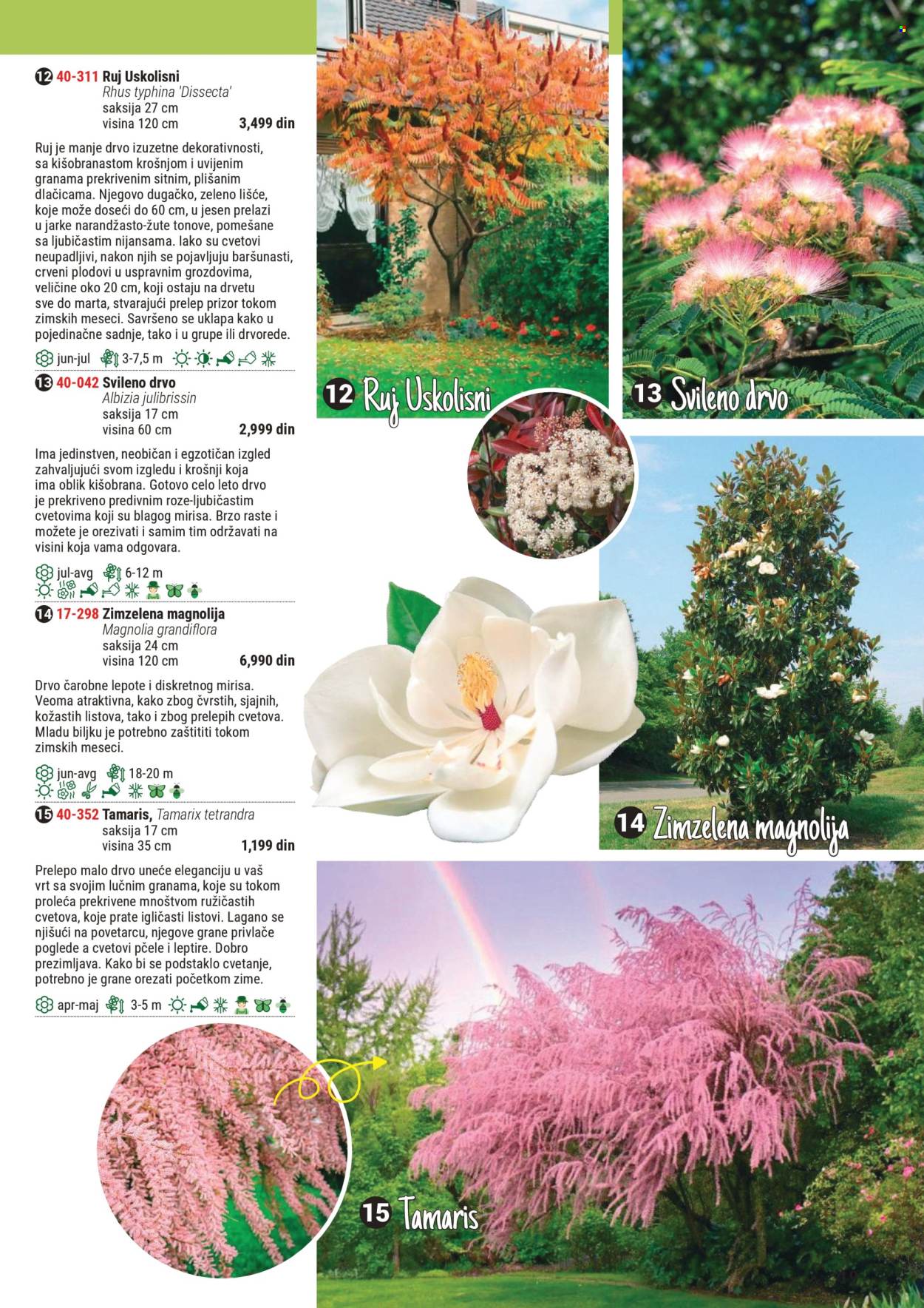 Flora Ekspres katalog .