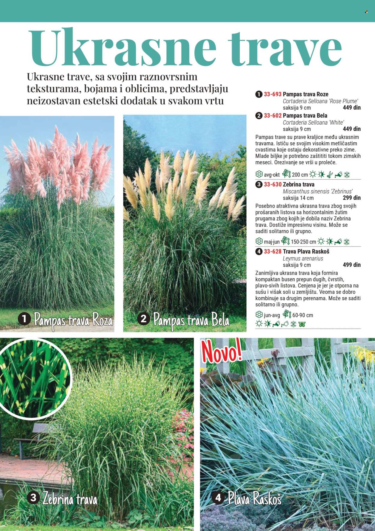 Flora Ekspres katalog .