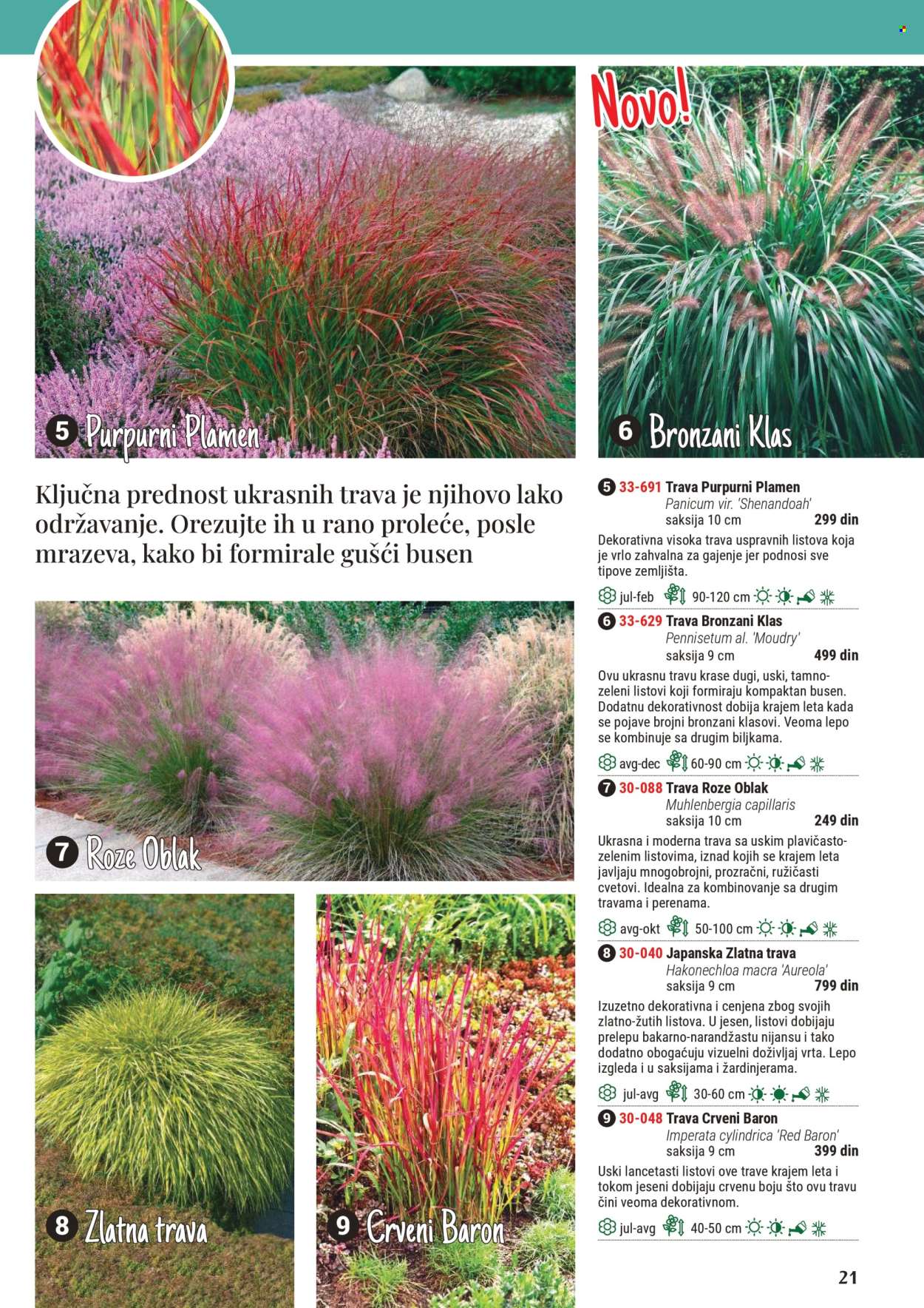 Flora Ekspres katalog .
