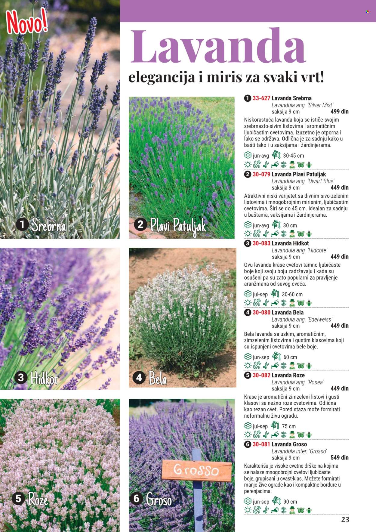 Flora Ekspres katalog .