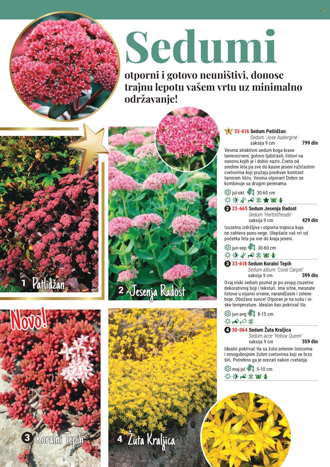 Flora Ekspres katalog .