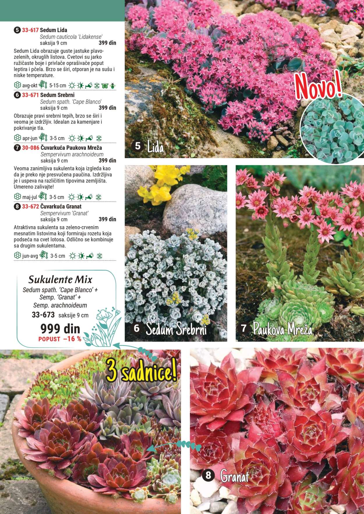 Flora Ekspres katalog .