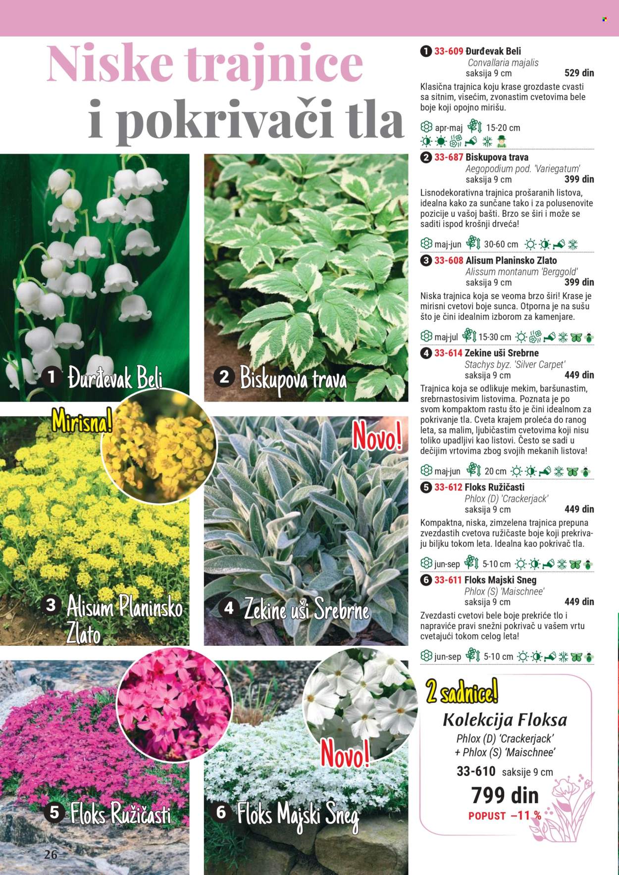 Flora Ekspres katalog .