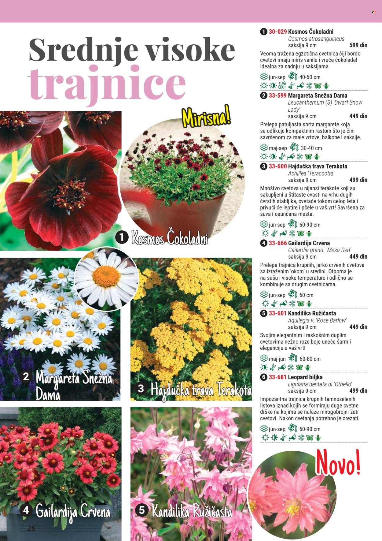 Flora Ekspres katalog .