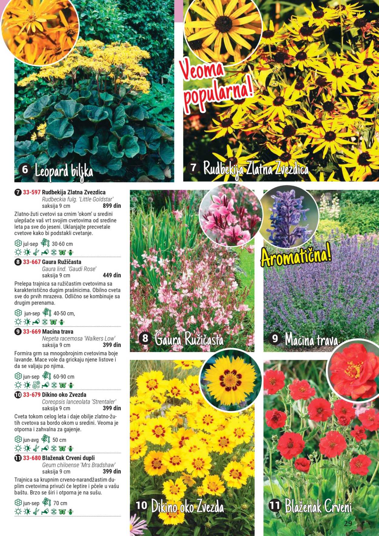 Flora Ekspres katalog .