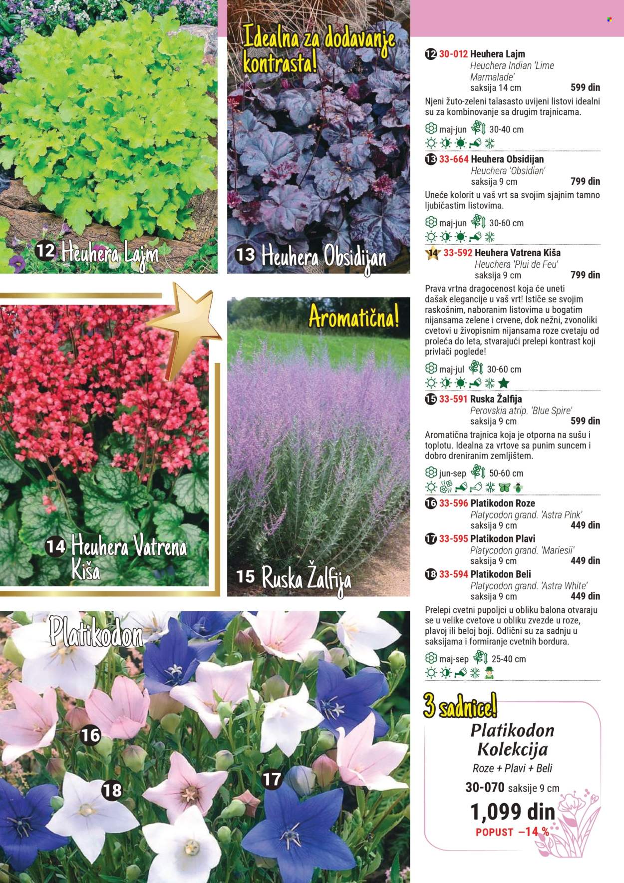 Flora Ekspres katalog .