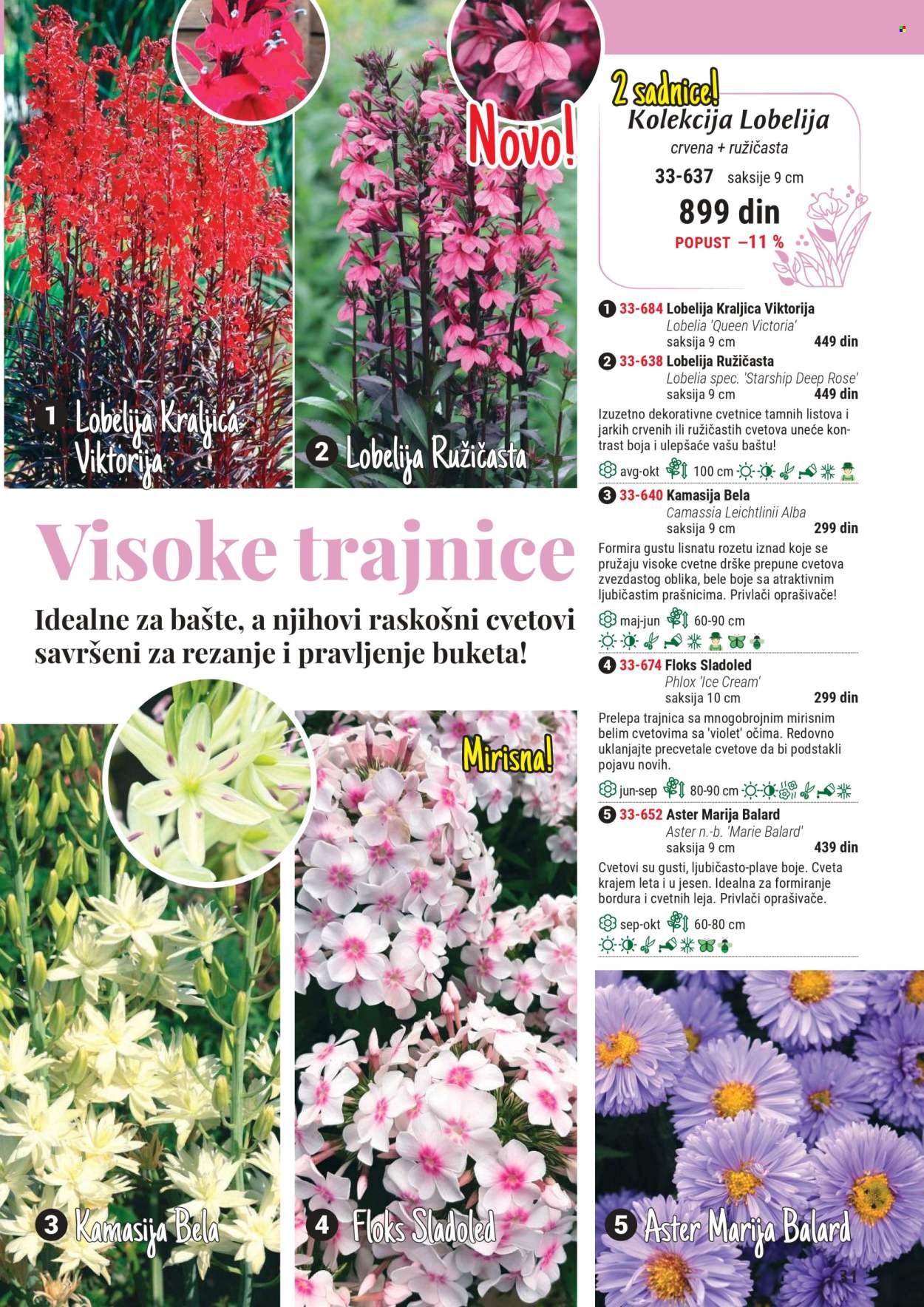 Flora Ekspres katalog .