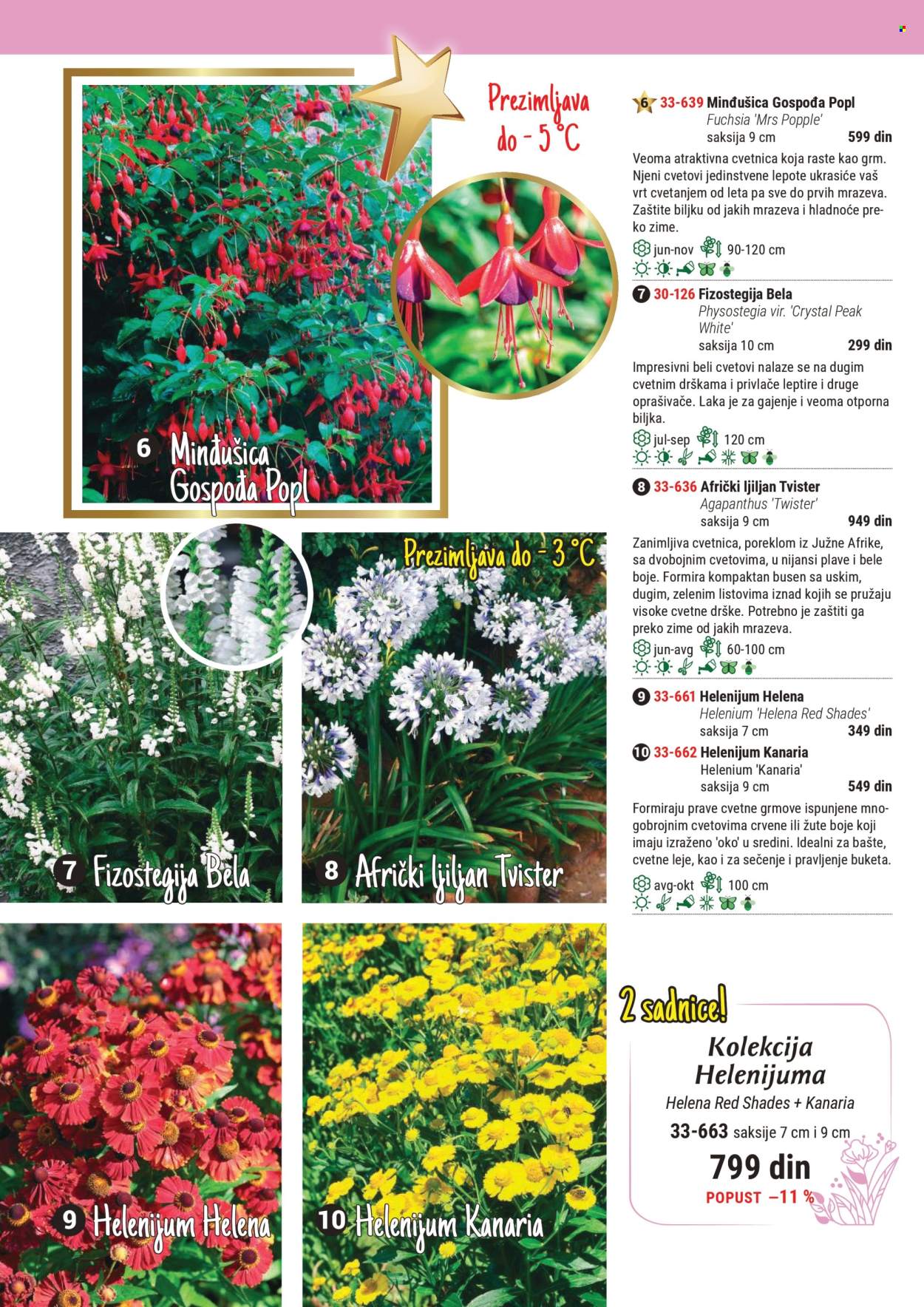 Flora Ekspres katalog .