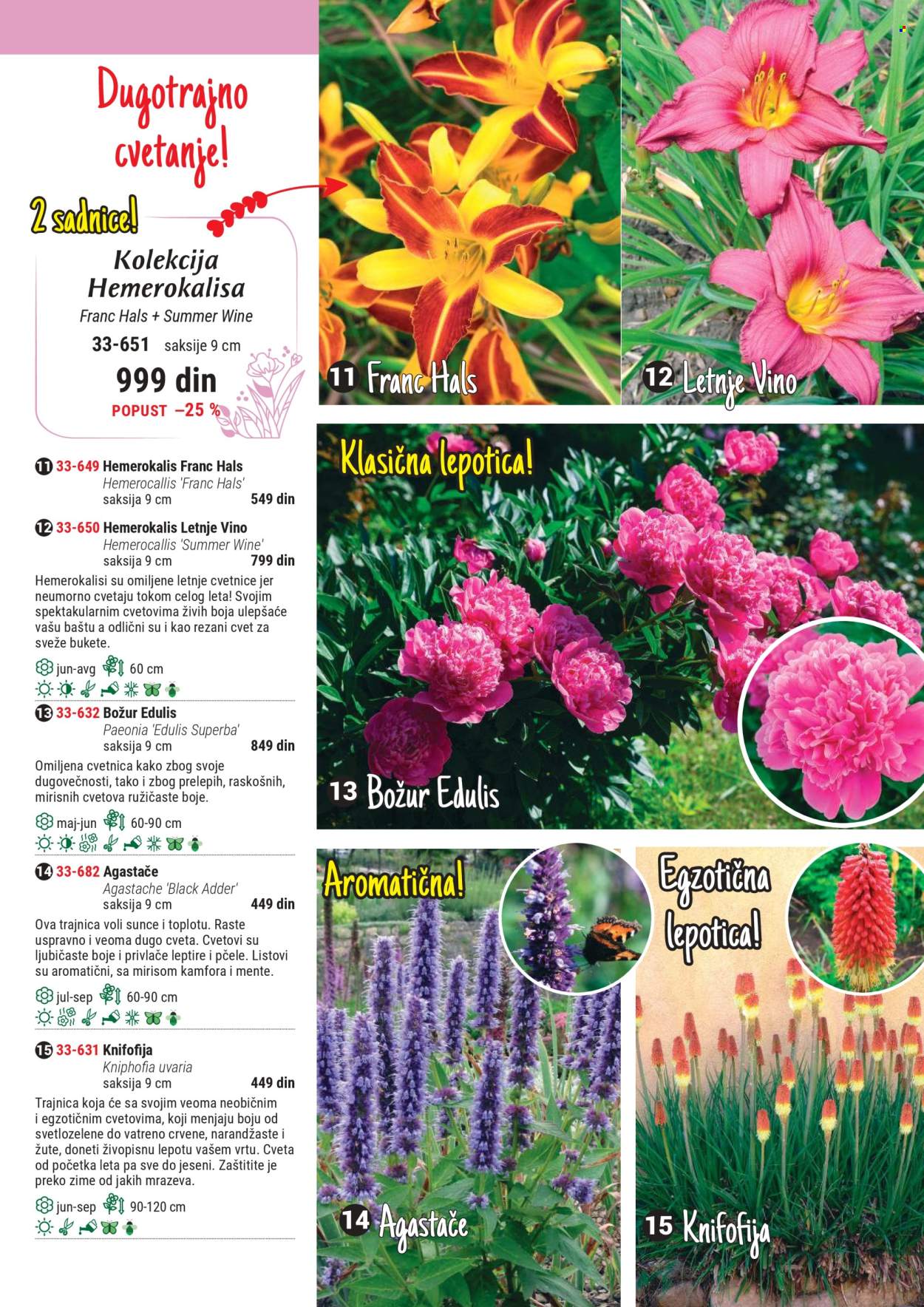 Flora Ekspres katalog .