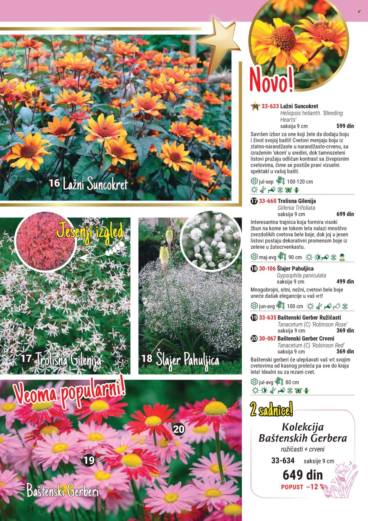 Flora Ekspres katalog .