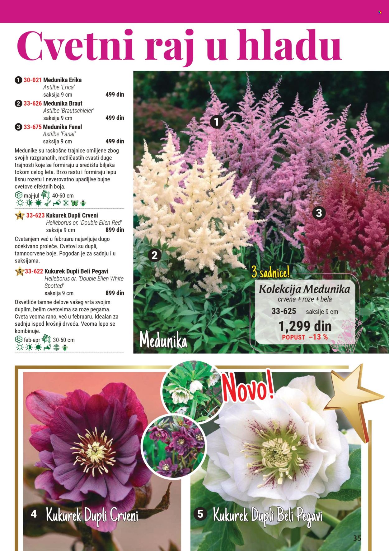Flora Ekspres katalog .