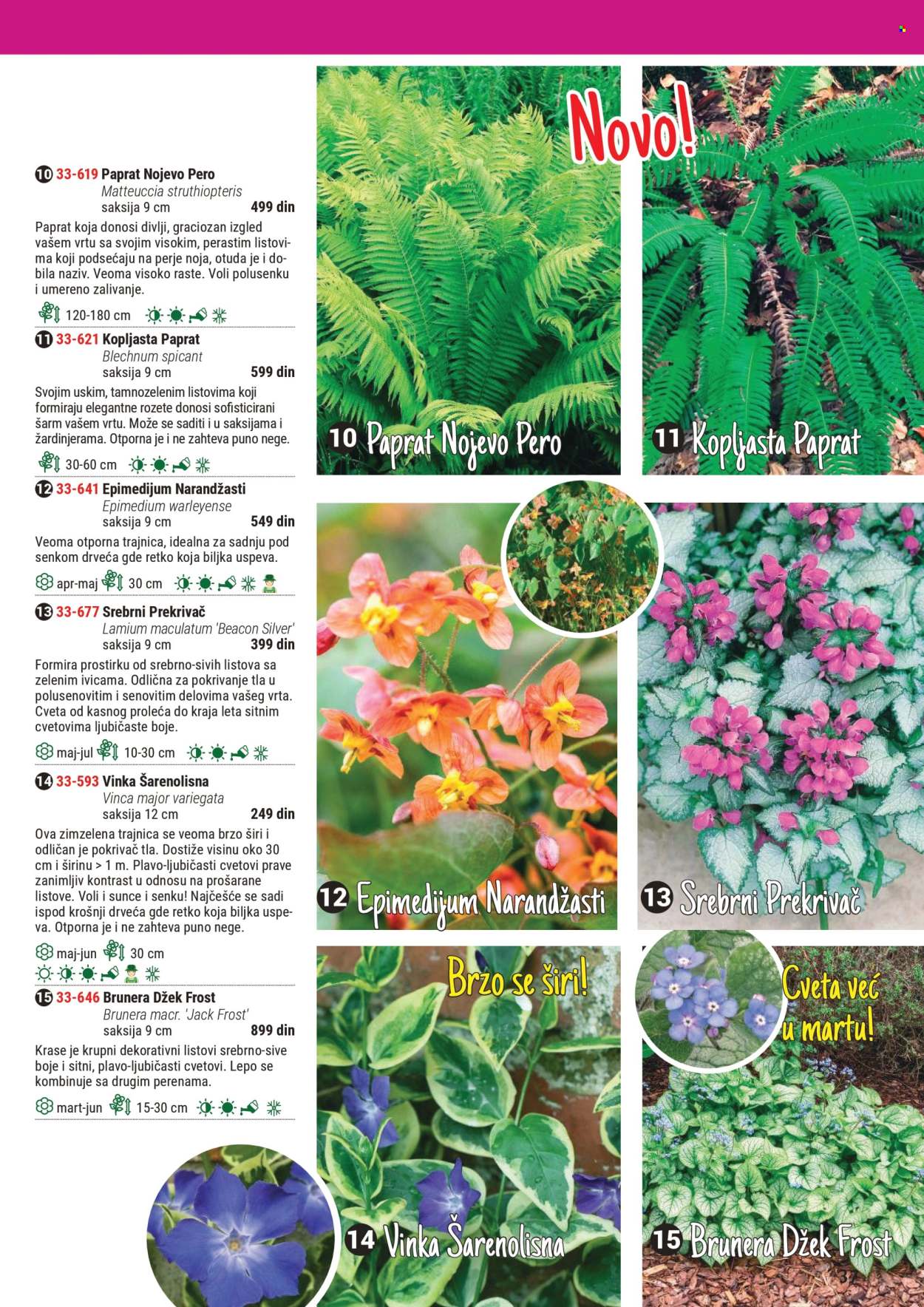 Flora Ekspres katalog .