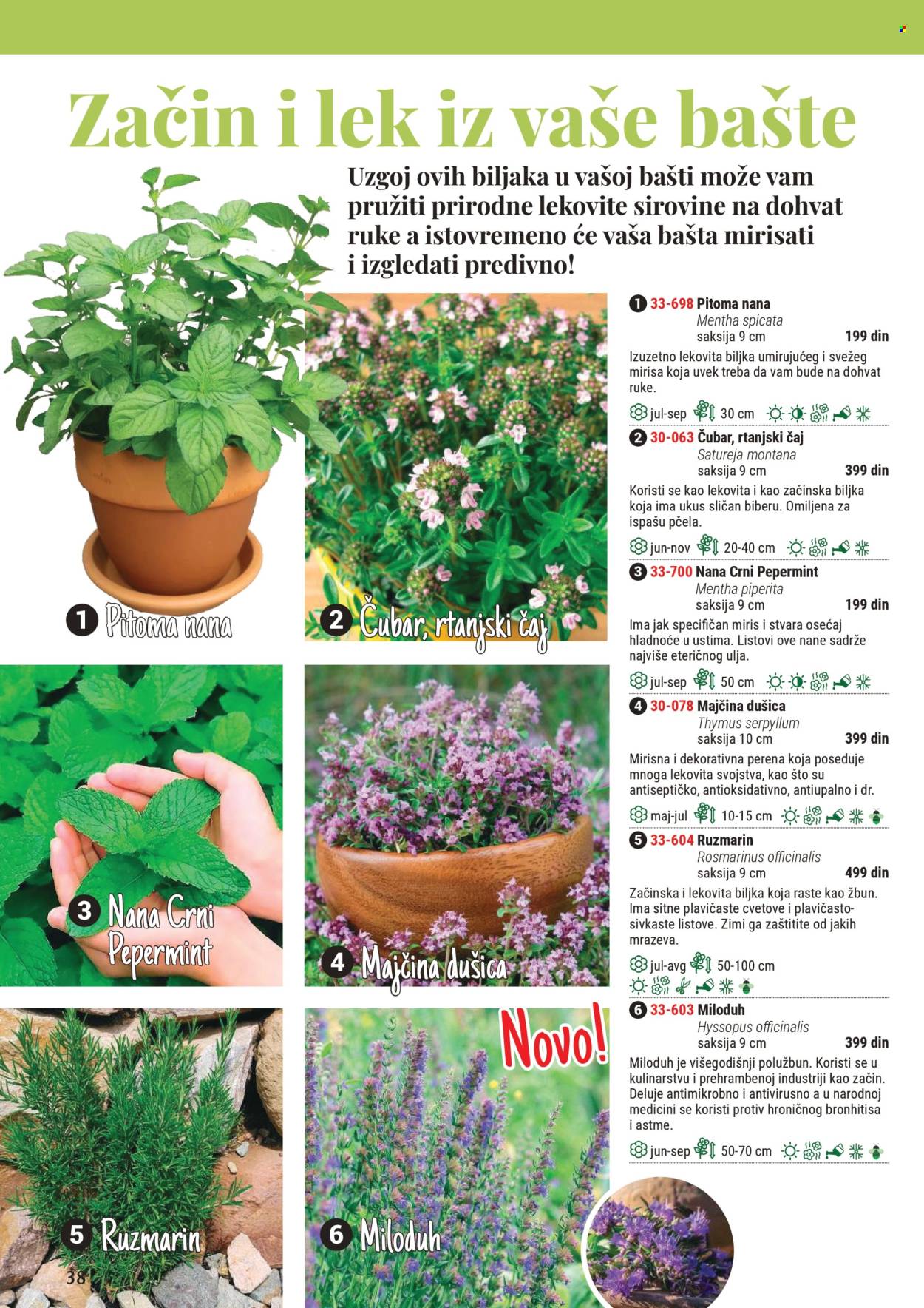 Flora Ekspres katalog .