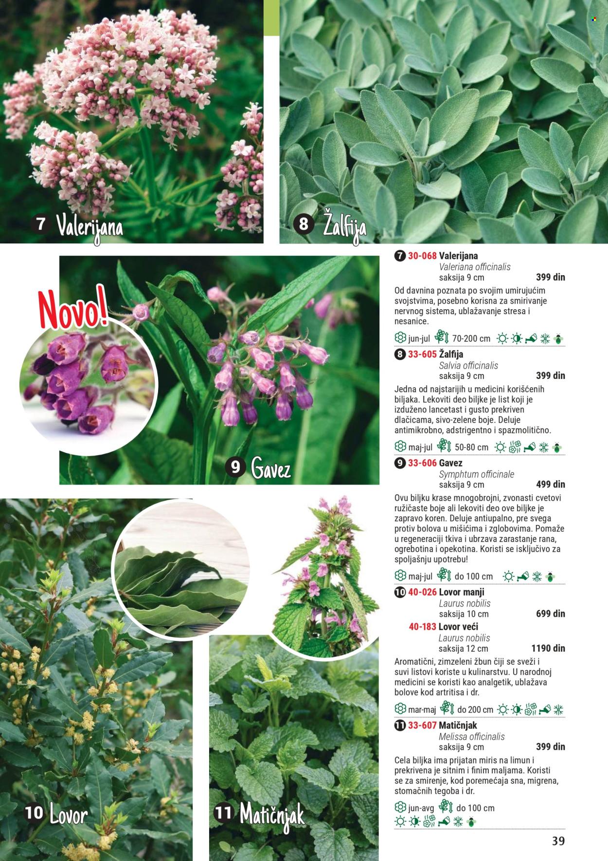 Flora Ekspres katalog .
