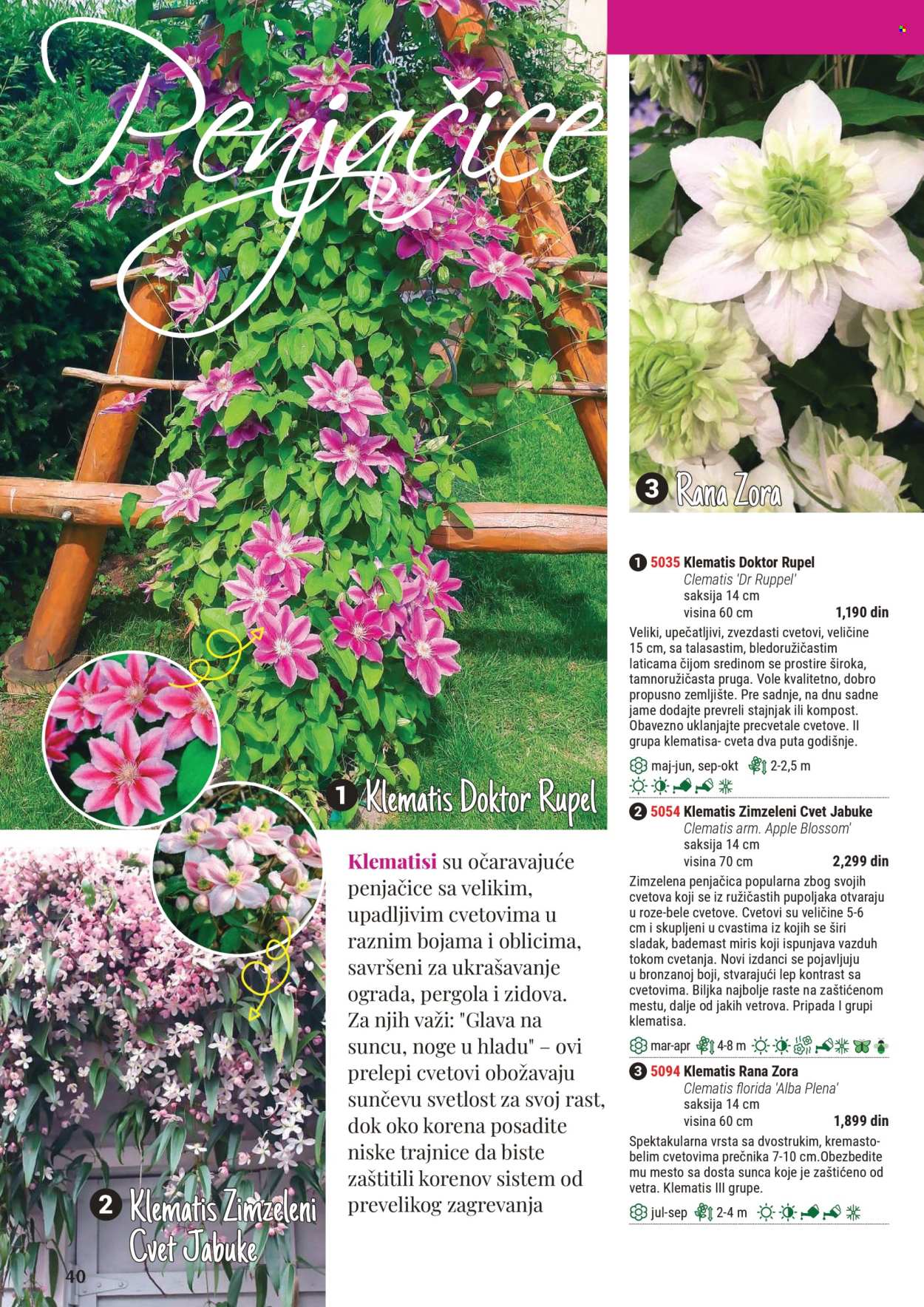 Flora Ekspres katalog .