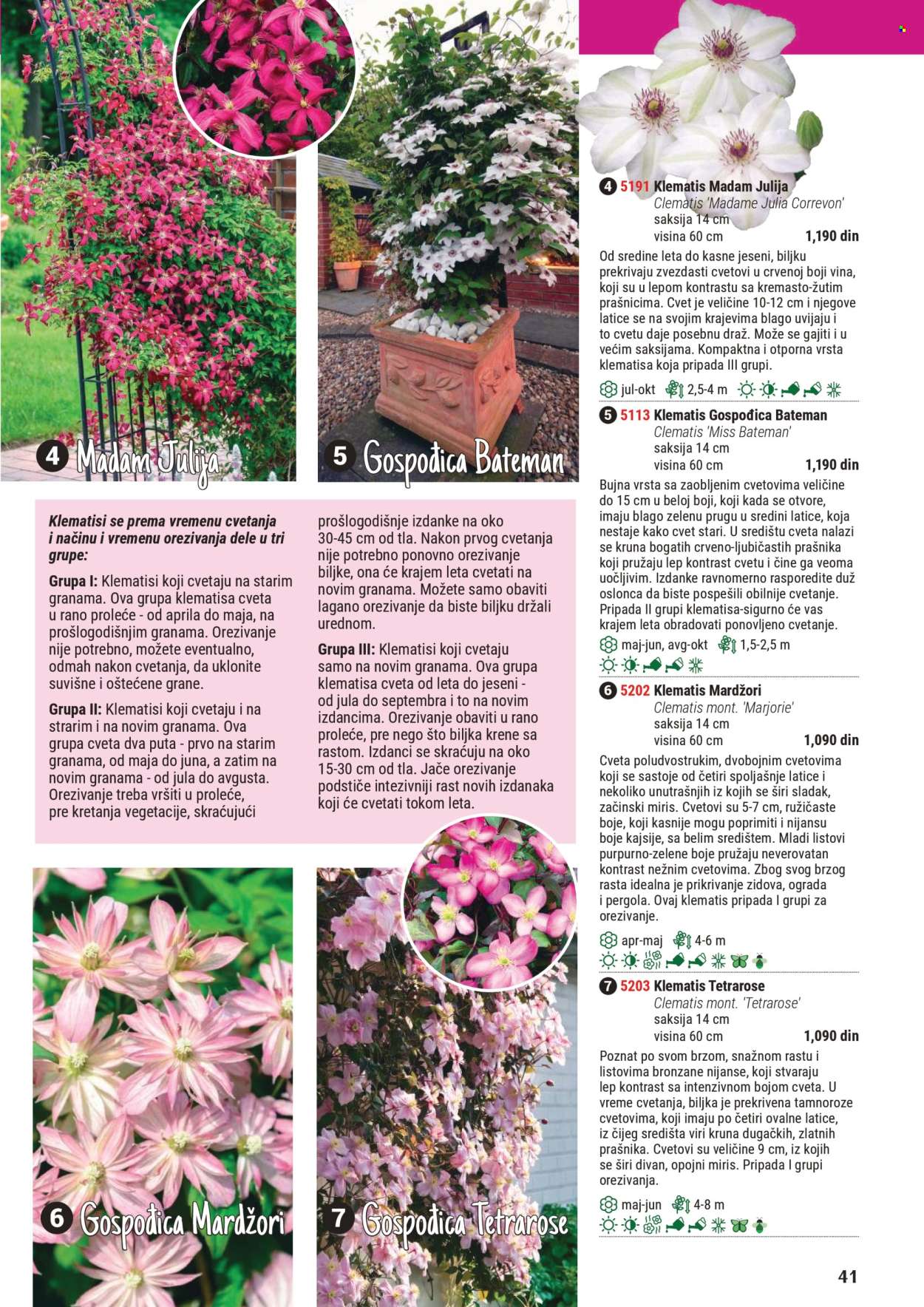 Flora Ekspres katalog .