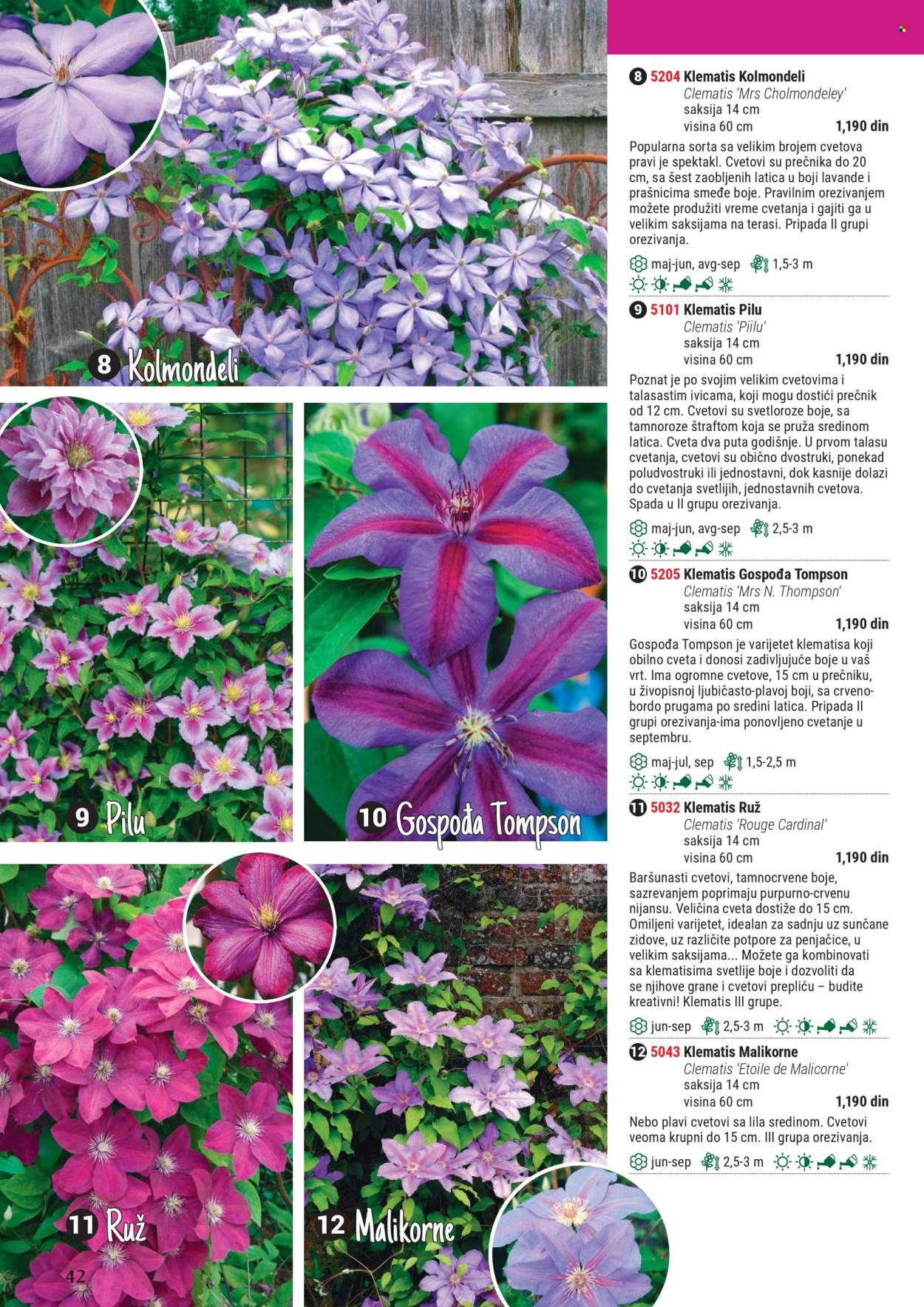 Flora Ekspres katalog .