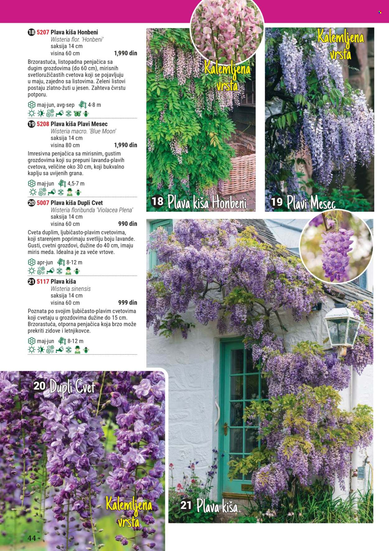 Flora Ekspres katalog .