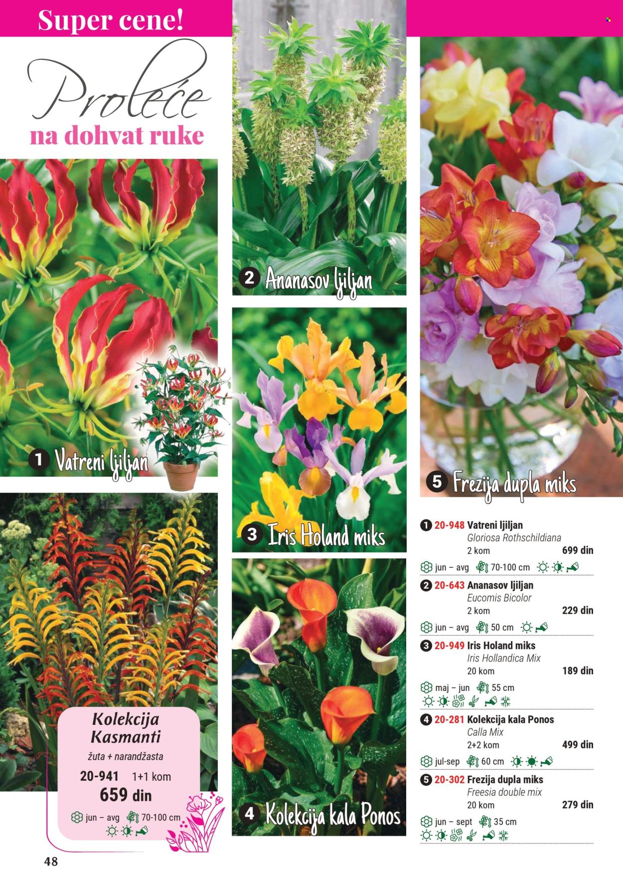 Flora Ekspres katalog .