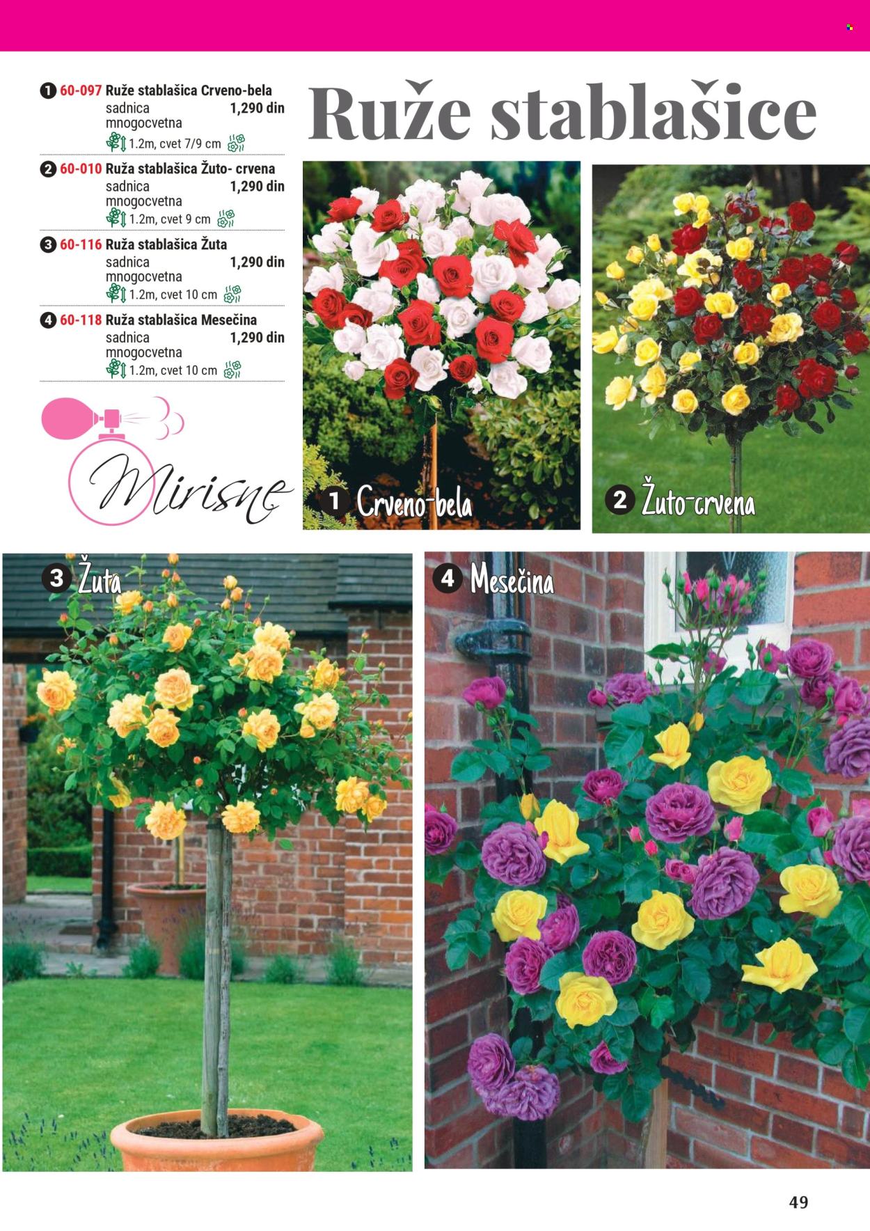 Flora Ekspres katalog .