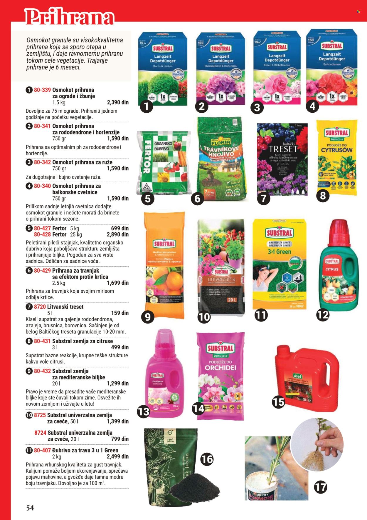 Flora Ekspres katalog .