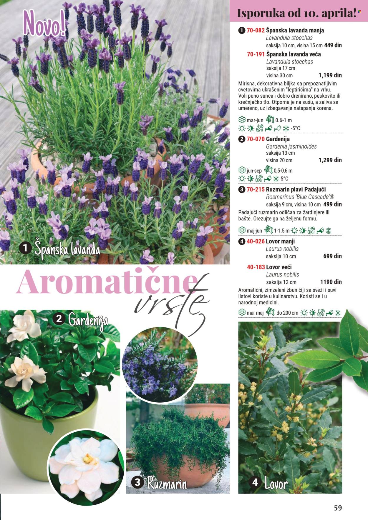 Flora Ekspres katalog .