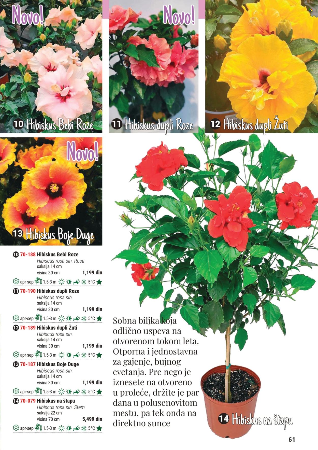 Flora Ekspres katalog .