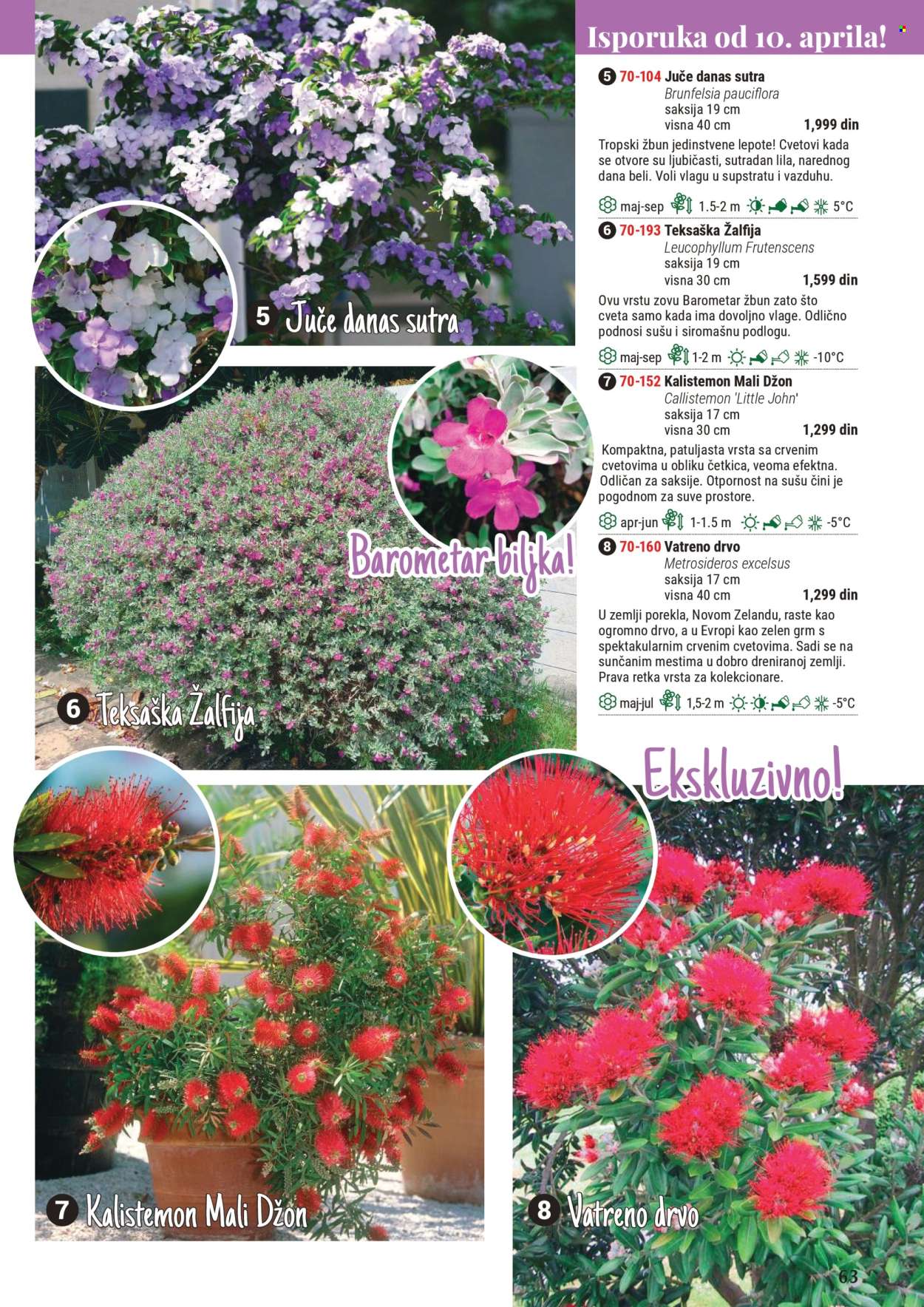 Flora Ekspres katalog .