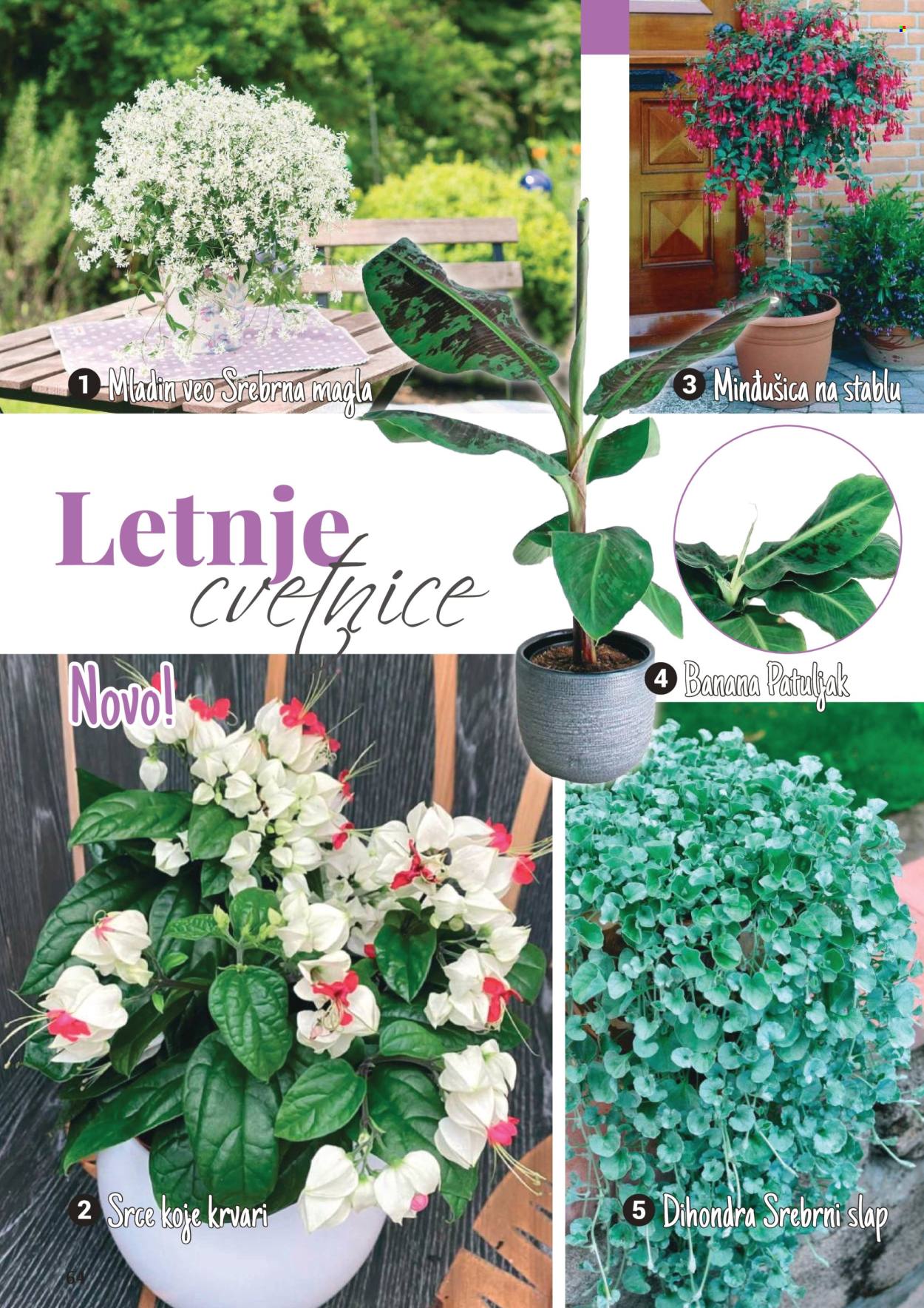 Flora Ekspres katalog .