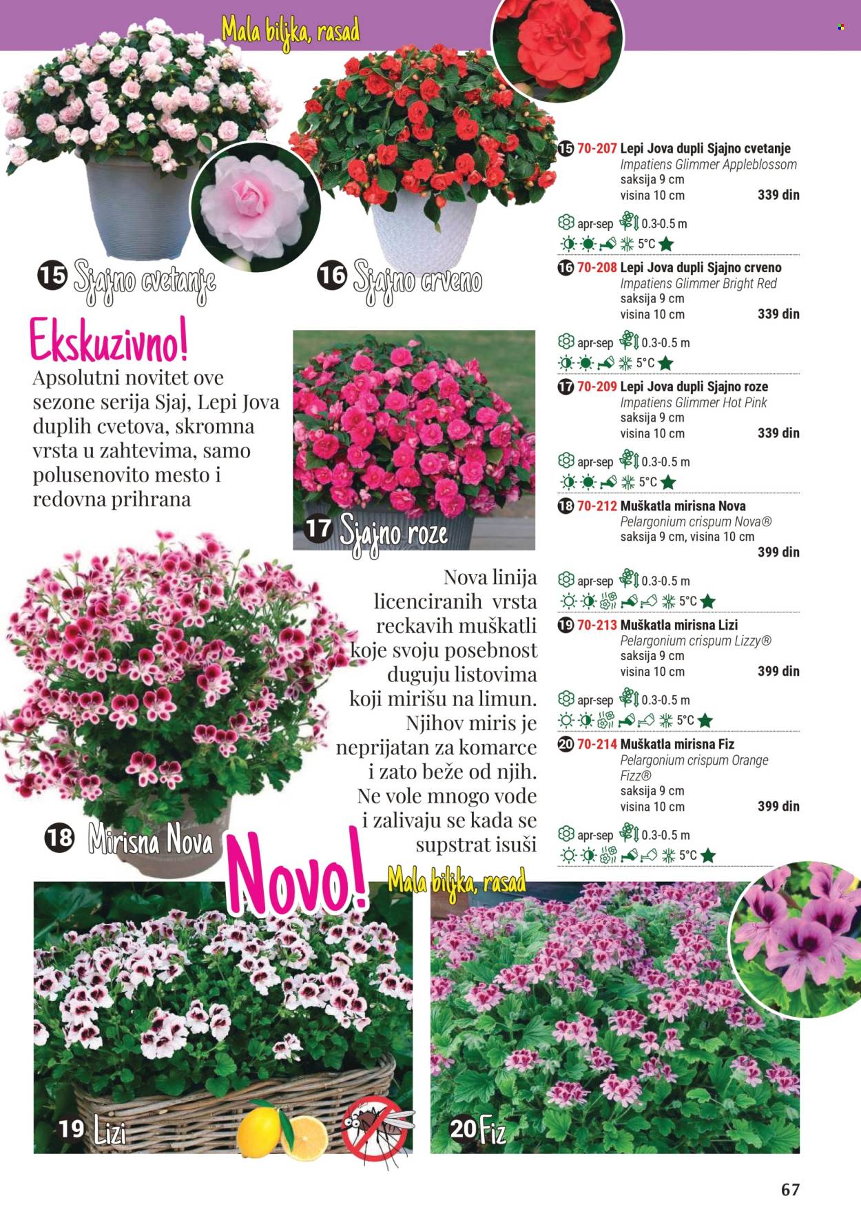 Flora Ekspres katalog .
