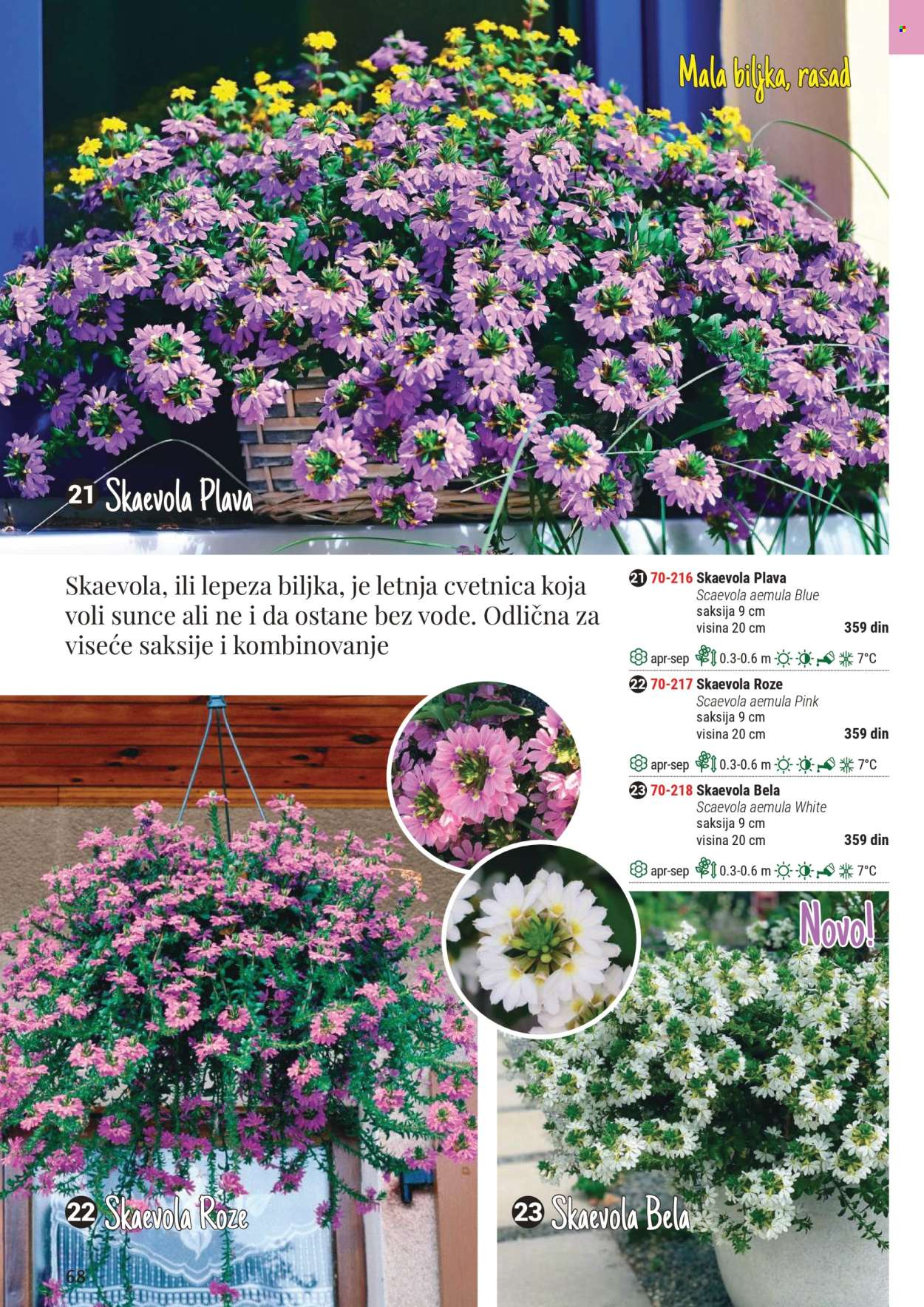 Flora Ekspres katalog .