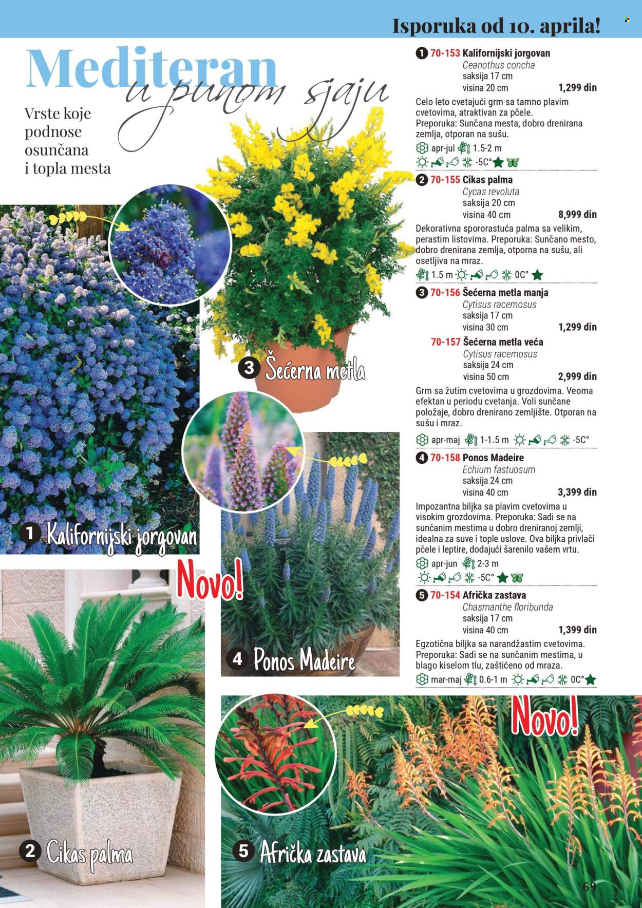 Flora Ekspres katalog .